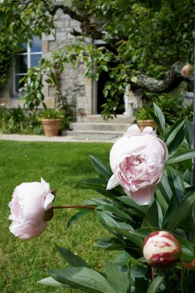 La Maison Les Mimosas Le Minihic-sur-Rance Exterior foto